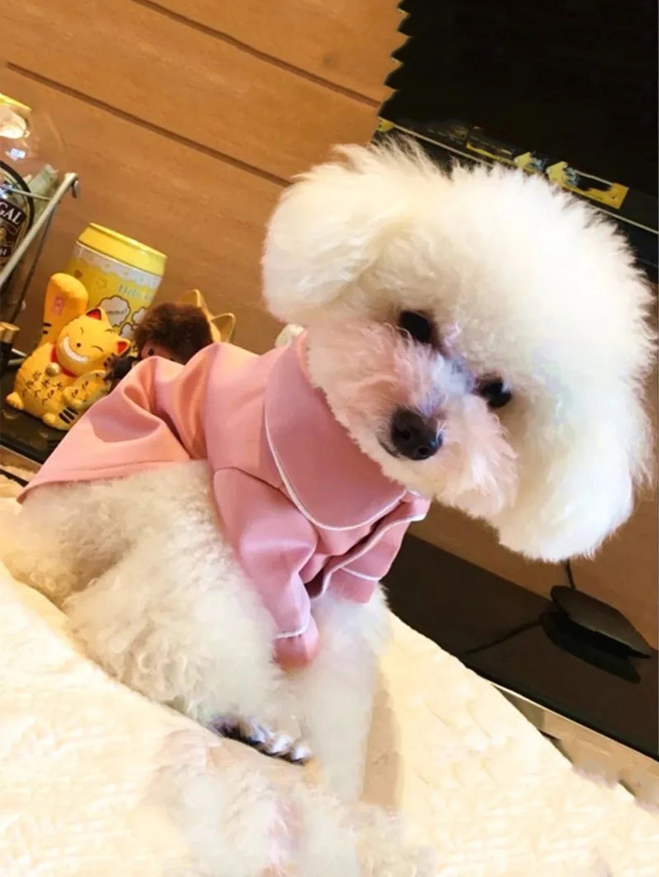 Pet Summer Pajamas