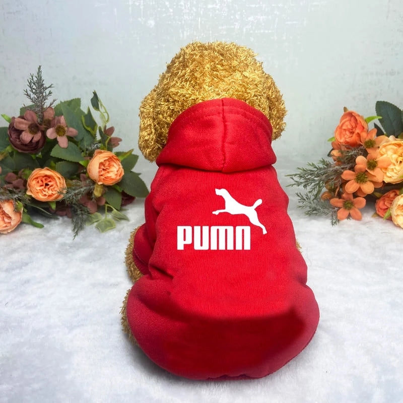 Classic Dog Hoodie