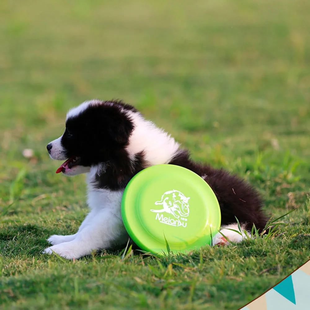 Dog Training Flying Disc
