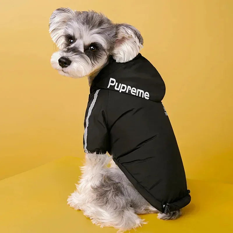 Reflective Dog Rain Jacket